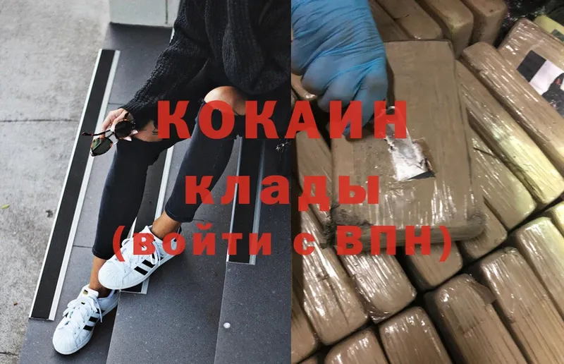 Купить закладку Жердевка Каннабис  А ПВП  ГАШ  Галлюциногенные грибы  Cocaine  МЕФ 