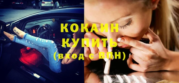 МДПВ Пересвет